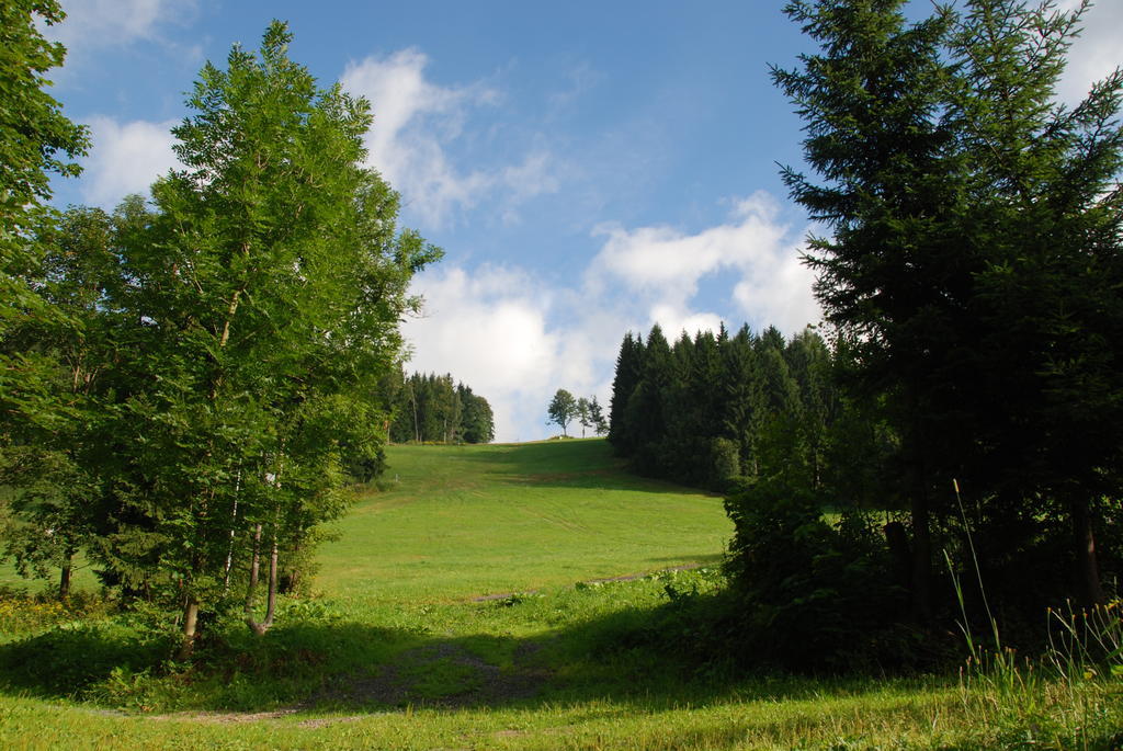 Na Cernem Potoce Rokytnice nad Jizerou Exterior foto